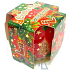 Candles Christmas Cake Vanilla & Honey vonná sviečka v skle 100 g