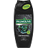 Palmolive Men Refreshing 2v1 sprchový gél 250 ml
