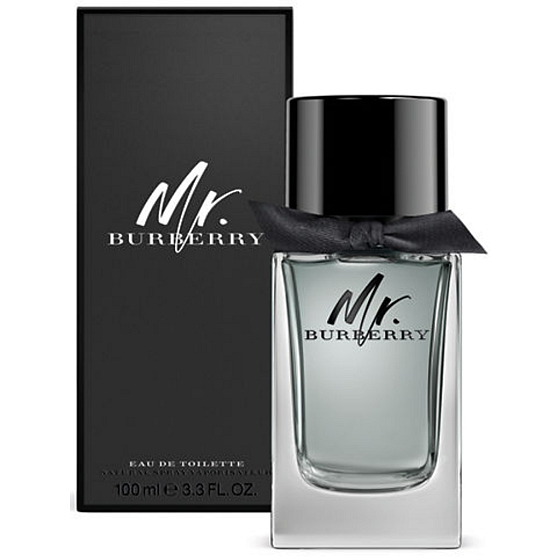 Burberry Mr. Burberry toaletná voda pre mužov 100 ml