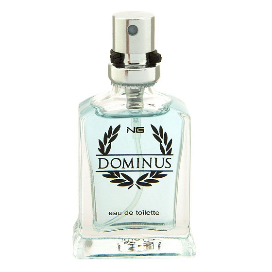 NG Dominus Men toaletná voda pre mužov 15 ml