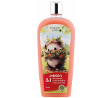 Bohemia Gifts Herbs Jahoda 3v1 sprchový gél, šampón a pena do kúpeľa pre deti 500 ml