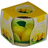Essences of Life Lemon aromatická sviečka v skle 100 g