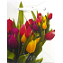 Nekupto Darčeková papierová taška 14 x 11 x 6,5 cm Tulipány 1 kus 325 02