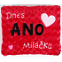 Albi Humorný vankúš Dnes Áno / Nie miláčik 36 x 30 cm