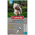 Bayer Advantix Spot On roztok na kvapkanie na kožu on pre psov 4-10 kg, 1 x 1 ml