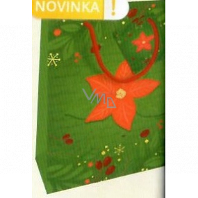 Nekupto Darčeková papierová taška 23 x 18 x 10 cm Vianočná zelená s vianočnou hviezdou WBM 1941 50