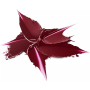 Catrice Rúž Shine Bomb 100 Cherry Bomb 3,5 g