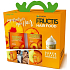 Garnier Fructis Goodbye Damage posilňujúci šampón 250 ml + posilňujúci balzam na vlasy 200 ml + vzorka Hair Food 15 ml, kozmetická sada