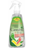 Bione Cosmetics Cannabis sprej na nohy s dezinfekčnou a zmäkčujúcou prísadou 260 ml