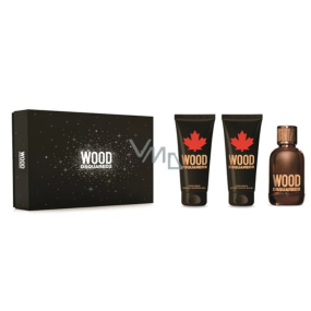 Dsquared2 Wood pour Homme toaletná voda pre mužov 100 ml + balzam po holení 100 ml + sprchový gél 100 ml, darčeková sada