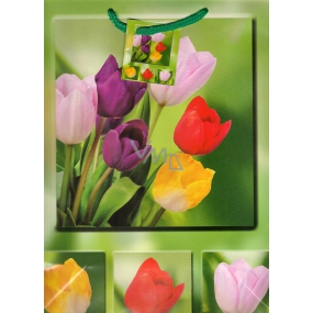 Nekupto Darčeková papierová taška 23 x 18 x 10 cm Tulipány 1048 50 BL