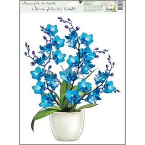 Okenné fólie bez lepidla orchidey modrá 42 x 30 cm