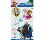 Nálepky na stenu Disney Ľadové kráľovstvo 3D 40 x 29 cm
