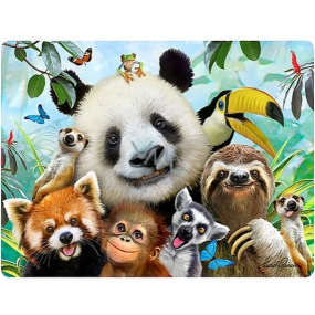 Prime3D pohľadnice - Zoo Selfie 16 x 12 cm