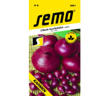 Semo Cibuľa kuchynská jarná Karmen 2 g