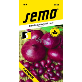 Semo Cibuľa kuchynská jarná Karmen 2 g