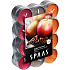 Spaas Apple Cinnamon - Jablko a škorica vonné čajové sviečky 24 kusov