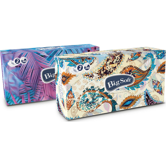 Big Soft Deluxe papierové vreckovky biele 2 vrstvové v krabičke 200 kusov