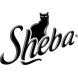 Sheba Sheba