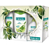 Palmolive Olive Milk sprchový gél 250 ml + mydlo 300 ml + šampón 200 ml, kozmetická sada