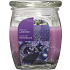 Bolsius Aromatic French Lavender - Francúzska Levanduľa vonná sviečka v skle 92 x 120 mm 830 g, doba horenia 100 hodín