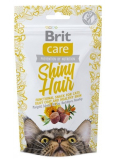 Brit Care Cat Snack Shiny Hair Losos maškrtu polomäkké doplnkové krmivo pre mačky 50 g