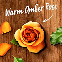 Air Wick Reed Diffuser Essential Oils Warm Amber Rose - Vôňa jantárové ruže vonné tyčinky osviežovač vzduchu 30 ml