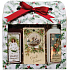 Bohemia Gifts Vianočný darčekový set sprchové gely 2× 100 ml + vonná kartička jablko a škorica
