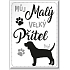 Nekupto Pets magnet Beagle 66 x 90 x 2 mm