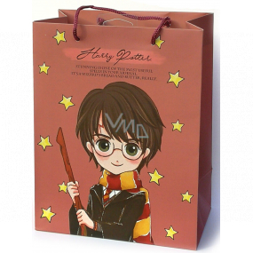 Epee Merch Harry Potter - Harry darčeková papierová taška 18 x 22,5 x 10 cm