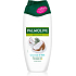 Palmolive sprchový gel Naturals Coconut & Milk, 250 ml