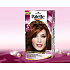 Schwarzkopf Palette Deluxe farba na vlasy 667 medená 115 ml
