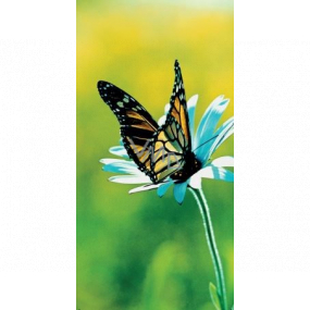 Albi Magnetická záložka do knižky Motýľ na kvetine 8,7 x 4,4 cm